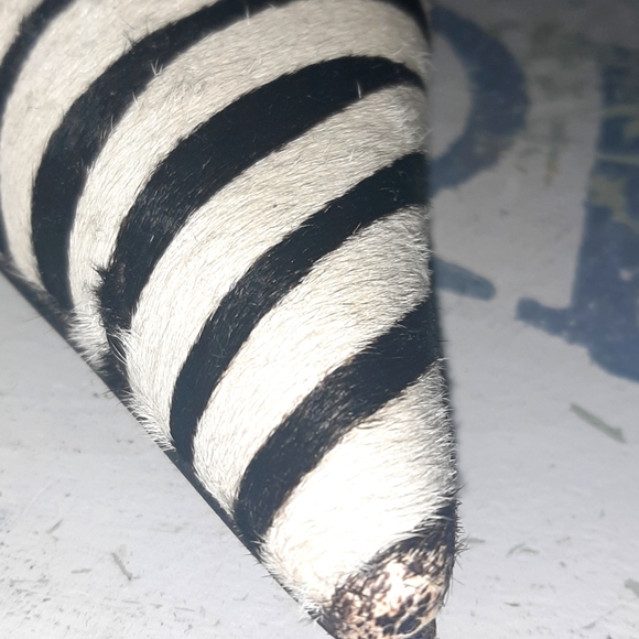 Type Z Zebra Print Pumps - Picture 8 of 10